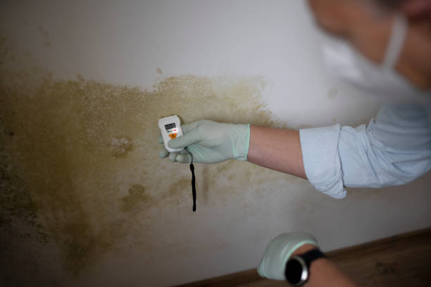 Best Mold Testing  in Murillo, TX
