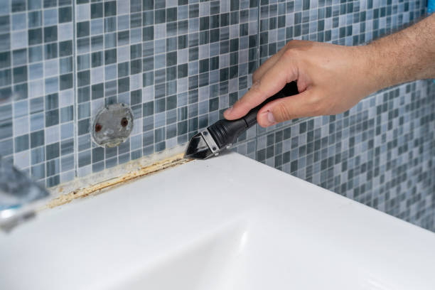 Best Emergency Mold Removal  in Murillo, TX