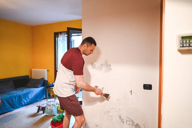 Best Commercial Mold Removal  in Murillo, TX