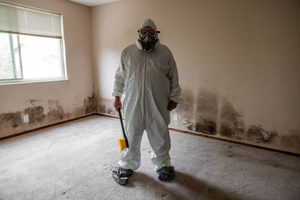 Best Home Mold Removal  in Murillo, TX